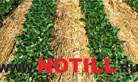      NoTill.Ru